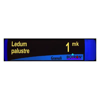 Ledum Palustre 1 Mk Dose 2020