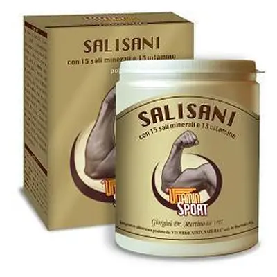 Salisani VitaminSport Polvere 360 G Giorgini