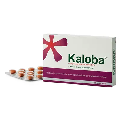 Kaloba 21 Compresse Rivestite 20mg