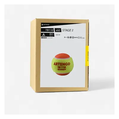 Palline tennis TB 110 arancioni x60 | Artengo