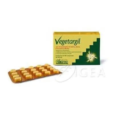 Vegetargil Argilla Verde Integratore per problemi gastrointestinali 80 compresse