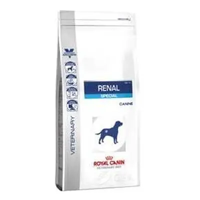 Royal Canin Renal Special Cibo Secco per Gatti