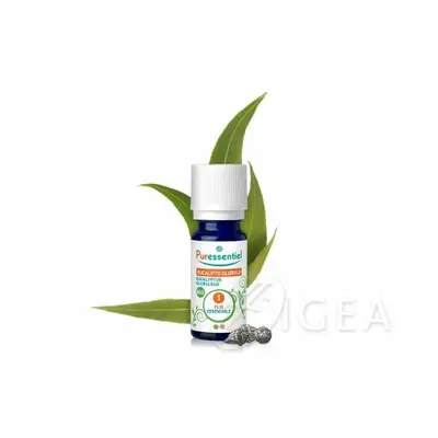 Puressentiel Olio Essenziale Eucalipto Globulo Bio 10 ml