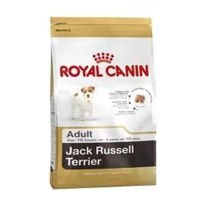 Royal Canin Jack Russell Cibo Secco per cani adulti 1,5 kg