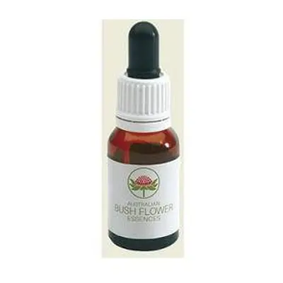 Red Helmet Orchid Australian Essenza in gocce 15 ml