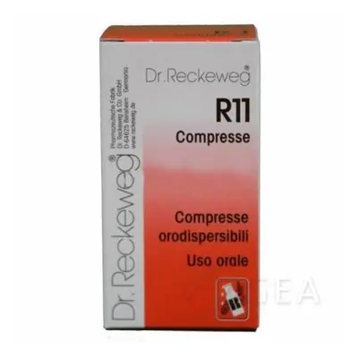 RECKEWEG R11 100 COMPRESSE