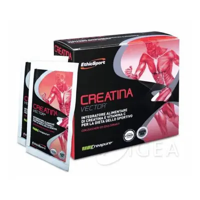 EthicSport Creatina Vector Integratore di Creatina per Sportivi 28 buste x 8 g