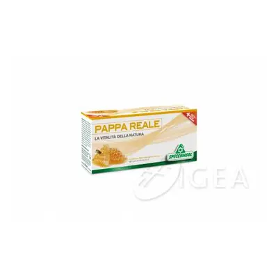 Specchiasol Pappa Reale Plus Integratore a base di Pappa Reale 12 fiale