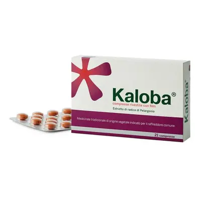 Kaloba 20 mg Compresse