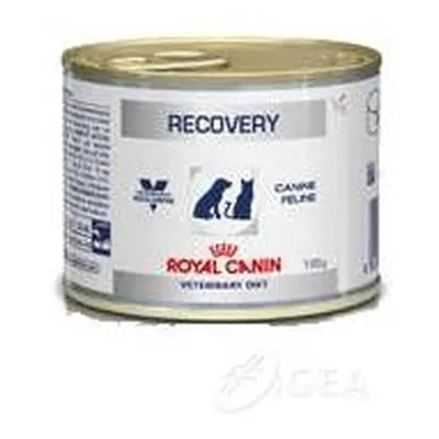 Royal Canin Recovery Cibo umido per la convalescenza di cani e gatti 195 g