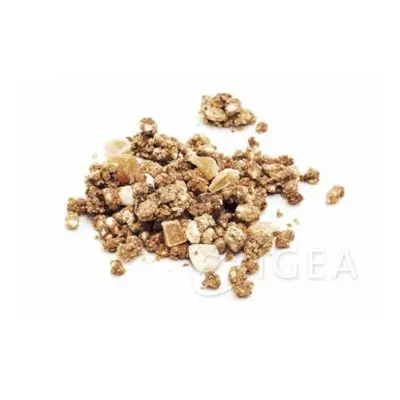 Laboratorio Graziosi Muesli Mandorle e Frutti Tropicali Prodotto senza glutine 300 g