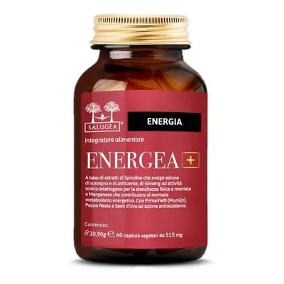 Salugea Energea+ 60 Capsule