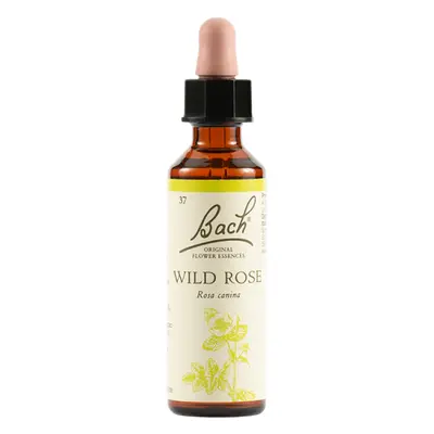 Schwabe Pharma Wild Rose Fiore di Bach "Gioia per la Vita" 20 ml