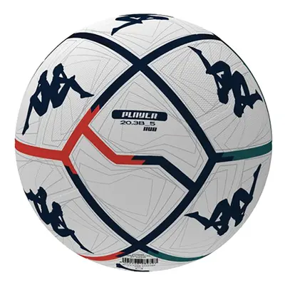 Pallone partita Fifa player 20.3