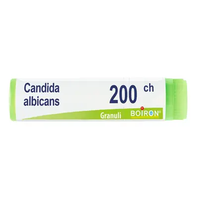 Candida Albicans 200Ch Gl 4 g Globuli